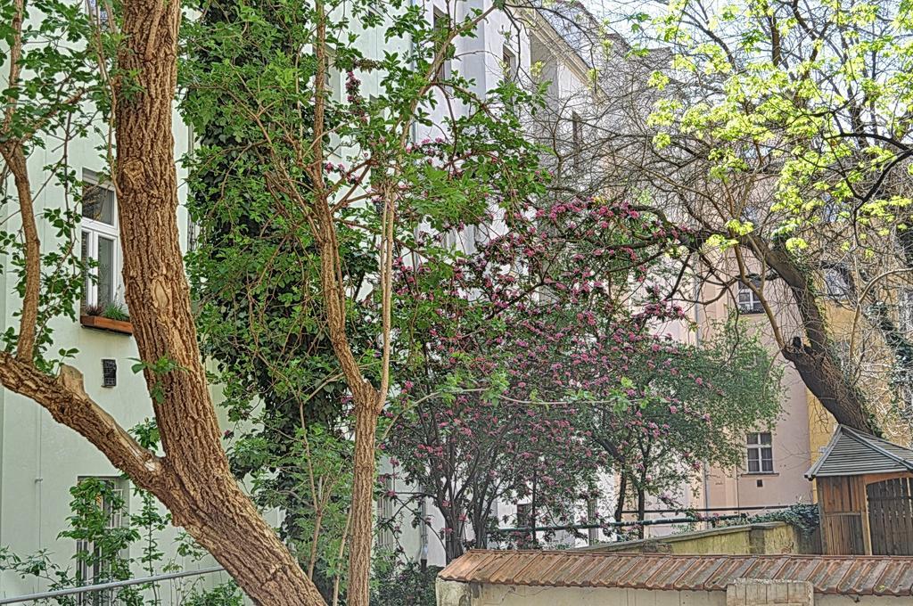 Apartment Na Kozacce 6 Prag Dış mekan fotoğraf